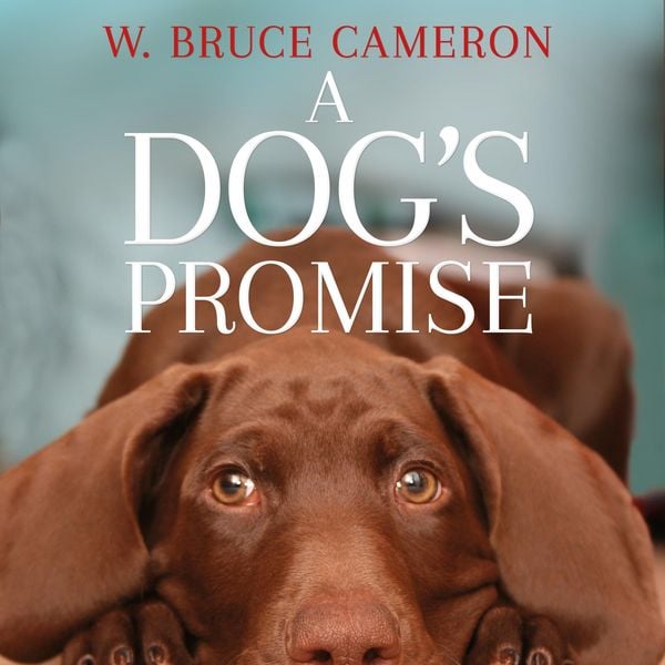 A Dog's Promise