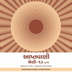 Aptavani-13 (P) - Gujarati Audio Book