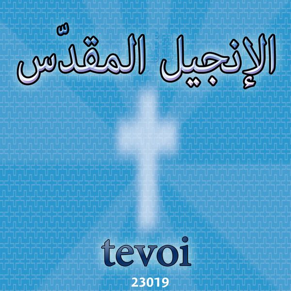 Bible (holy book)