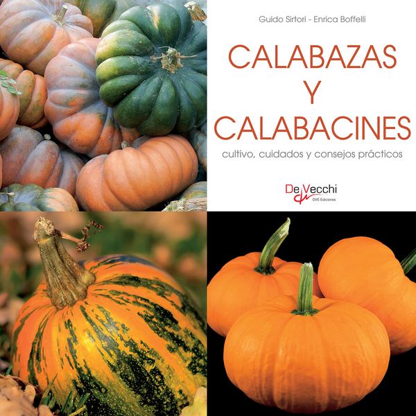 Calabazas y calabacines - cultivo