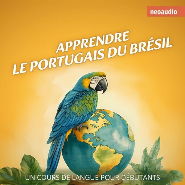 Cours de langues pour débutants