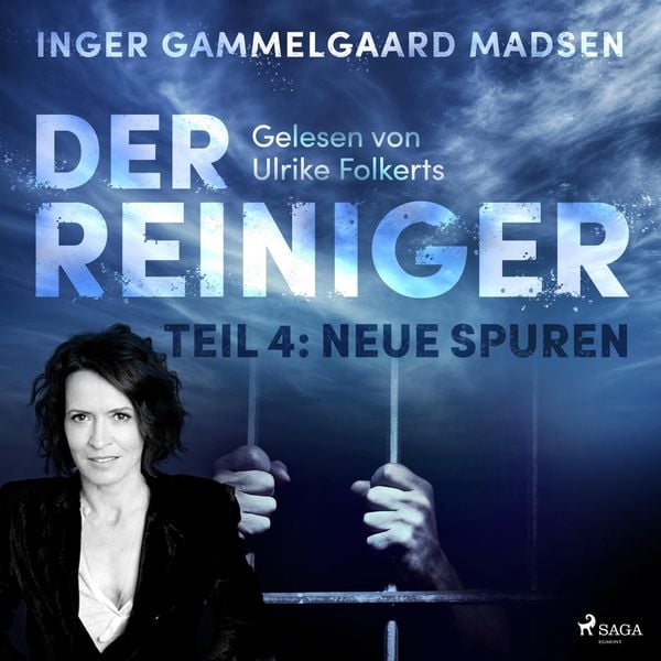 Der Reiniger