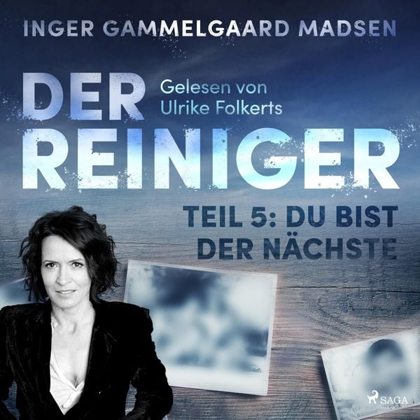 Der Reiniger