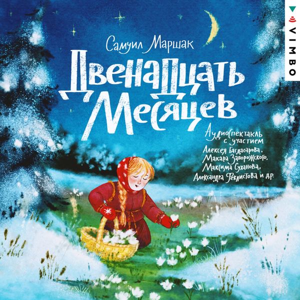 Dvenadcat' mesyacev