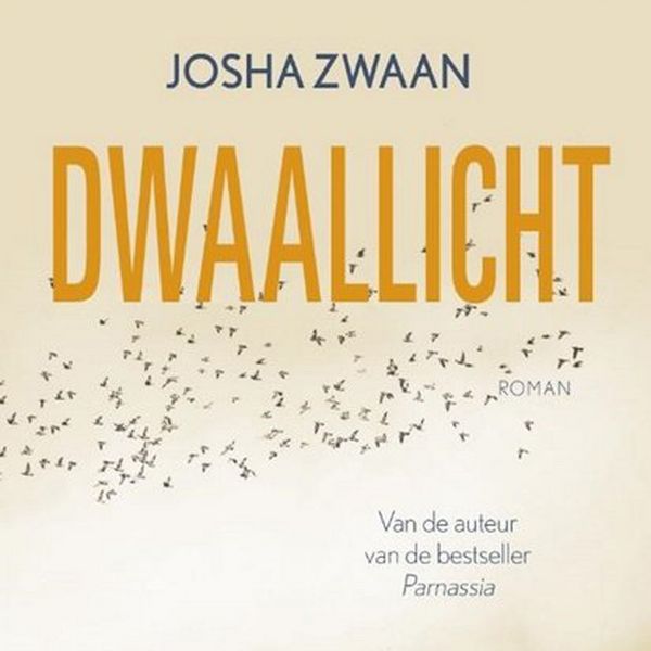 Dwaallicht