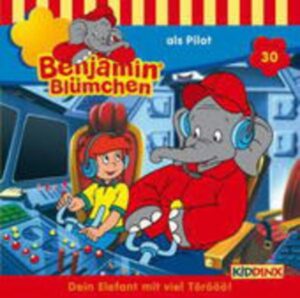 Folge 030:...Als Pilot