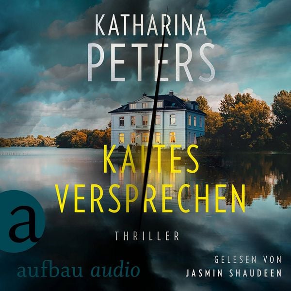 Kaltes Versprechen - Thriller