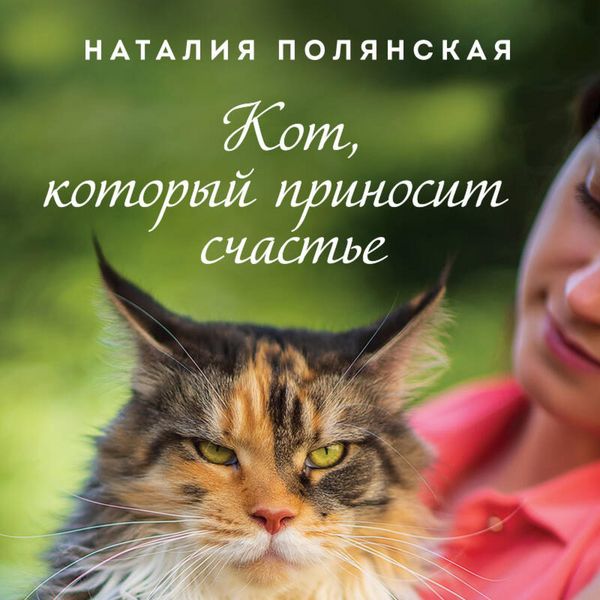 Kot