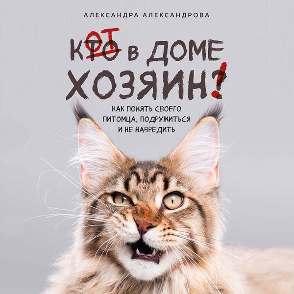 Kot v dome hozyain! Kak ponyat svoego pitomtsa