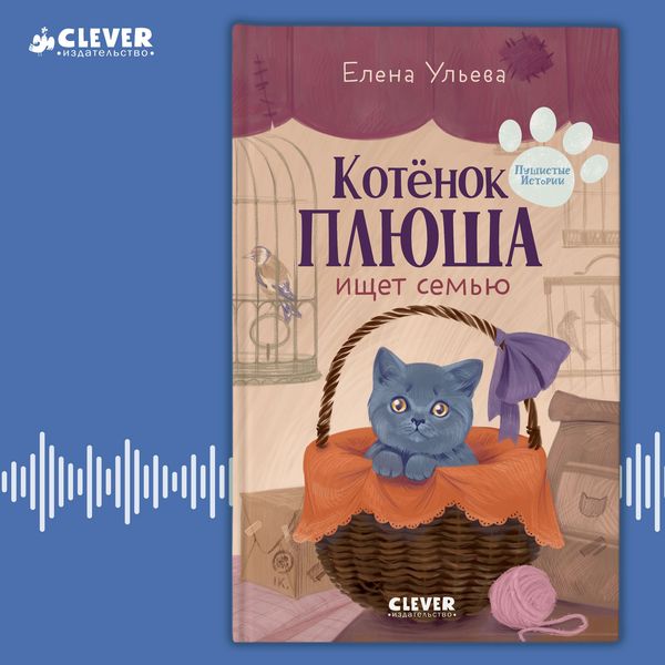 Kotenok Plyusha ischet semyu