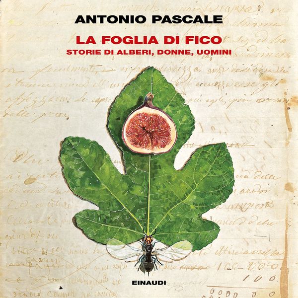 La foglia di fico