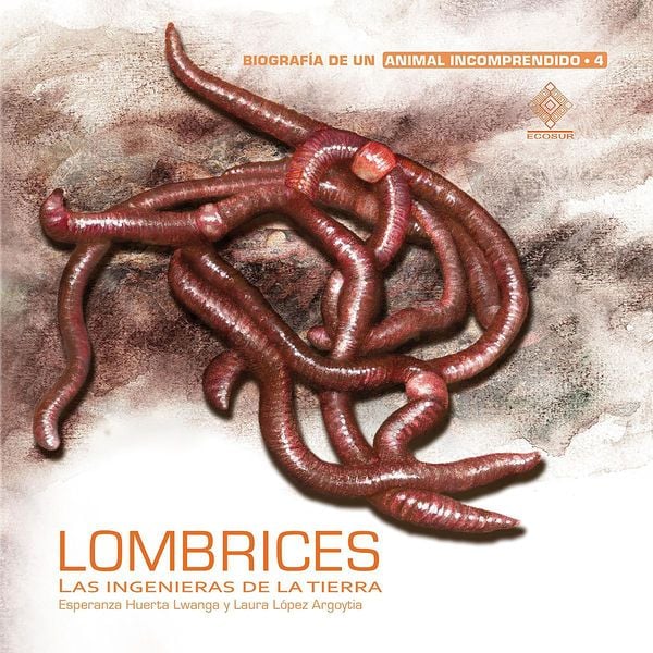 Lombrices