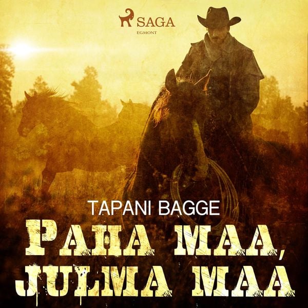 Paha maa
