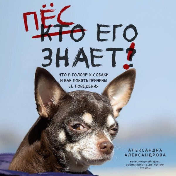 Pes ego znaet! Chto v golove u sobaki