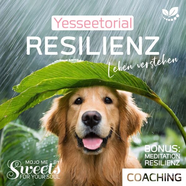Resilienz
