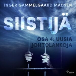 Siistijä 4: Uusia johtolankoja