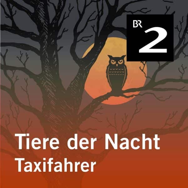 Tiere der Nacht: Taxifahrer