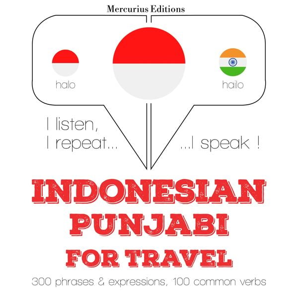 Travel words and phrases in Punjabi