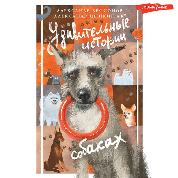 Udivitelnye istorii o sobakah