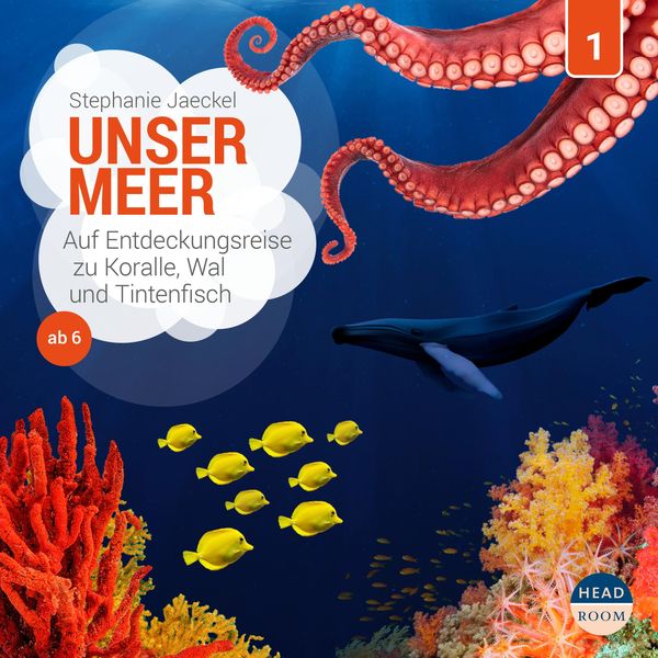 Unser Meer - Auf Entdeckungsreise zu Koralle