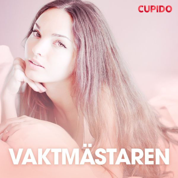 Vaktmästaren – erotiska noveller