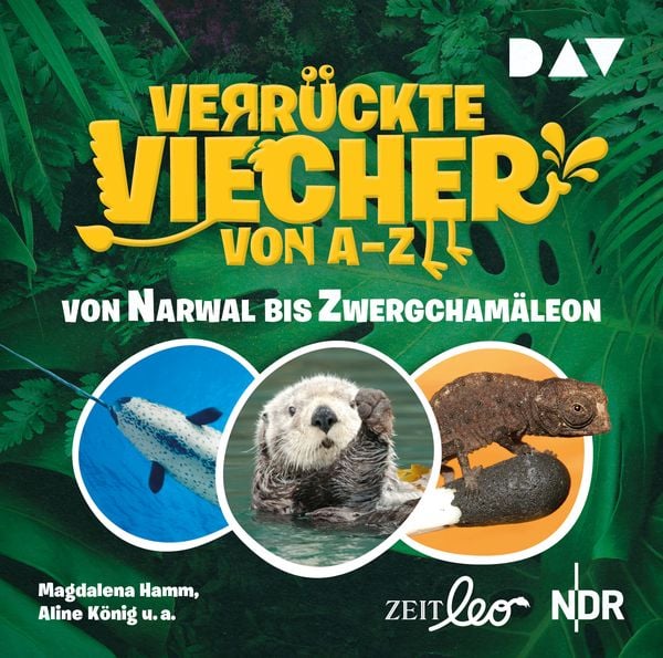 Verrückte Viecher von A bis Z – Teil 2: Von Narwal bis Zwergchamäleon