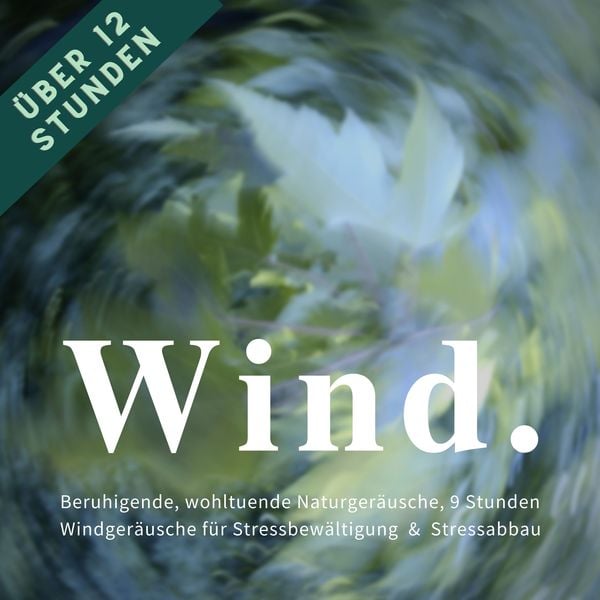 Wind & Windgeräusche: Beruhigende