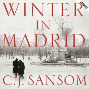 Winter in Madrid