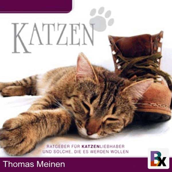 Wissenswertes für Katzenliebhaber/innen und solche