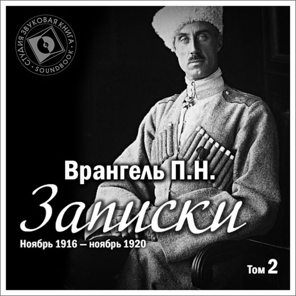 Zapiski. Tom 2. Noyabr' 1916 g – noyabr' 1920 g.